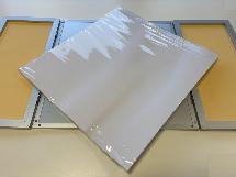 FEUILLES POUR PODOGRAPHE 2 PIEDS (lot de 100)