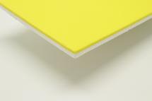 BIDENSITE PODOLEN Blanc Jaune