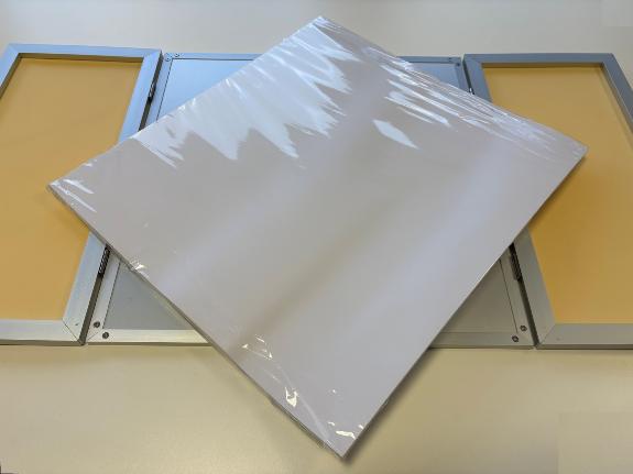 FEUILLES POUR PODOGRAPHE 2 PIEDS (lot de 100)